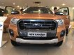 Ford Ranger   Wildtrak 2.0L  2019 - Bán ô tô Ford Ranger Wildtrak 2.0L sản xuất 2019, nhập khẩu Thái Lan