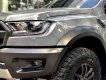 Ford Ranger Raptor 2.0 10AT 4x4 2018 - Bán Ford Ranger Raptor năm sản xuất 2018, nhập khẩu nguyên chiếc