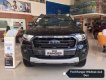 Ford Ranger   Wildtrak Bi   2019 - Bán Ford Ranger Wildtrak Bi đời 2019, màu đen, nhập khẩu nguyên chiếc