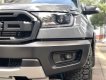 Ford Ranger Raptor 2.0 10AT 4x4 2018 - Bán Ford Ranger Raptor năm sản xuất 2018, nhập khẩu nguyên chiếc