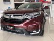 Honda CR V   2019 - Bán xe Honda CR V đời 2019, màu đỏ, nhập khẩu Thái