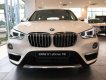 BMW X1 18i 2019 - Bán BMW X1 18i 2019 nhập khẩu, hỗ trợ 50% lệ phí trước bạ, có xe giao ngay - Hotline PKD 0908 526 727