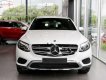 Mercedes-Benz GLC-Class GLC 200 2019 - Bán Mercedes GLC 200 2019, màu trắng