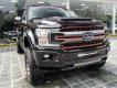 Ford F 150 Harley Davidson 2019 - Cần bán Ford F 150 F150 Harley Davidson đời 2019, màu đen, nhập khẩu nguyên chiếc