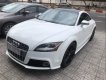 Audi TT 2010 - Bán Audi TT đời 2010, màu trắng, xe nhập