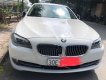 BMW 5 Series 523i 2011 - Bán BMW 523i sản xuất năm 2011, màu trắng, nhập khẩu  