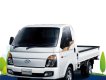 Hyundai H 100   150 2019 - Bán Hyundai Porter 2019 năm 2019, màu trắng, giá chỉ 390 triệu