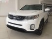 Kia Sorento PlatiumD 2019 - Cần bán xe Kia Sorento PlatiumD 2019, màu trắng