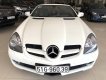 Mercedes-Benz SLK class 200 2019 - HCM Mercedes SLK 200, màu trắng, xe nhập, trả trước chỉ từ 285 triệu