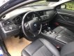 BMW 5 Series 520i 2016 - BMW 5 Series 520i năm sản xuất 2016, màu xanh lam, nhập khẩu