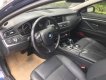 BMW 5 Series 520i 2016 - BMW 5 Series 520i năm sản xuất 2016, màu xanh lam, nhập khẩu