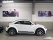 Volkswagen Beetle 2018 - Bán xe Volkswagen Beetle 2018, màu trắng, nhập khẩu