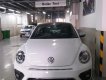 Volkswagen Beetle 2018 - Bán xe Volkswagen Beetle 2018, màu trắng, nhập khẩu