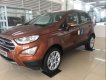 Ford EcoSport   Titanium   1.5 2019 - Bán Ford Ecosport 2019 đã lột xác hoàn toàn và phân phối 5 phiên bản phù hợp với mọi gia đình