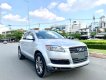 Audi Q7 2008 - Audi Q7 nhập Đức model 2008, hàng full đủ đồ chơi, hai cầu, số tự động 8 cấp cao