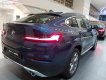 BMW X4 xDrive20i 2019 - Bán ô tô BMW X4 xDrive20i sản xuất năm 2019, màu xanh lam, xe nhập