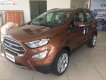 Ford EcoSport Titanium 1.5 AT 2019 - Bán Ford EcoSport Titanium 1.5 AT sản xuất 2019, giá chỉ 605 triệu