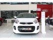 Kia Morning 2019 - Kia Morning sx 2019 mới 100%(trắng, bạc, vàng, xanh, nâu, đỏ, cam), gói quà tặng lên tới>10tr. Hỗ trợ vay 85%