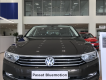 Volkswagen Passat 2017 - Xe nhập Đức Passat High Bluemotion, gói quà tặng khủng 120 triệu hoặc giảm giá sốc