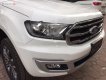 Ford Everest Titanium 2.0L 4x2 AT 2019 - Bán Ford Everest Titanium đời 2019, màu trắng, nhập khẩu 