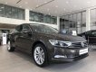 Volkswagen Passat 2017 - Xe nhập Đức Passat High Bluemotion, gói quà tặng khủng 120 triệu hoặc giảm giá sốc