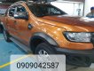 Ford Ranger Wildtrak 2.2L 2017 - Cần bán xe Ford Ranger Wildtrak 2.2L đời 2017, màu cam, nhập khẩu nguyên chiếc, giá tốt