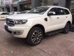 Ford Everest Titanium 2.0L 4x2 AT 2019 - Bán Ford Everest Titanium đời 2019, màu trắng, nhập khẩu 