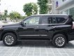 Lexus GX 460 2015 - Cần bán xe Lexus GX460 năm sản xuất 2015, màu đen, xe nhập, LH: 0981810161