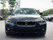 BMW 3 Series 320i 2018 - Bán xe BMW 320i năm sản xuất 2018, màu đen, xe nhập