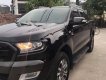 Ford Ranger Wildtrak 3.2L 4x4 AT 2017 - Bán Ford Ranger Wildtrak 3.2L 4x4 AT 2017, màu đen, xe nhập, 1 chủ từ đầu xe đẹp xuất sắc