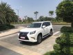 Lexus GX 460 2016 - Bán xe Lexus GX460 Luxury 2016 màu trắng, BSTP chính chủ