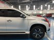 Mitsubishi Pajero   2019 - Cần bán xe Mitsubishi Pajero 2019 sản xuất 2019, màu trắng, nhập khẩu