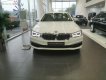 BMW 5 Series 520i 2018 - Bán xe BMW 520i năm 2018, màu trắng, xe nhập