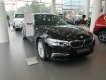 BMW 5 Series 530i Luxury Line 2018 - Bán BMW 530i Luxury Line 2018, màu đen, nhập khẩu