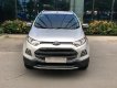 Ford EcoSport Titanium 2017 - Chính chủ bán Ford EcoSport Titanium 2017, màu xám (ghi), mới chạy 9000km