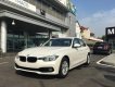 BMW 3 Series  320i 2018 - Bán BMW 3 Series 320i 2018, màu trắng, nhập khẩu nguyên chiếc