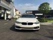 BMW 3 Series  320i 2018 - Bán BMW 3 Series 320i 2018, màu trắng, nhập khẩu nguyên chiếc