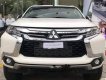 Mitsubishi Pajero MT 2019 - Cần bán xe Mitsubishi Pajero MT sản xuất năm 2019