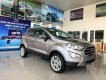 Ford EcoSport Titanium 1.5L AT 2019 - Bán Ford EcoSport Titanium 1.5L AT đời 2019, màu xám, giá cạnh tranh