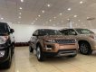 LandRover Evoque 2014 - Bán Range Rover Evoque màu vàng sản xuất 2014 đăng ký năm 2016 tên cá nhân