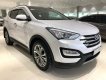 Hyundai Santa Fe  2.4 AT 2015 - HCM: Hyundai Santa Fe 2.4 AT 2015 - Trả trước chỉ từ 261 triệu