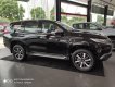 Mitsubishi Pajero Sport 2019 - Xe Mitsubishi Pajero Sport sản xuất năm 2019, dán kính máy dầu