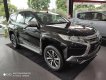 Mitsubishi Pajero Sport 2019 - Xe Mitsubishi Pajero Sport sản xuất năm 2019, dán kính máy dầu