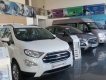 Ford EcoSport Titanium 2019 - Cần bán Ford EcoSport năm sản xuất 2019, màu trắng tại Phú Yên