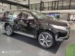 Mitsubishi Pajero Sport 2018 - Xe Mitsubishi Pajero Sport sản xuất năm 2019, dán kính trải sàn