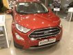 Ford EcoSport 2019 - Bán xe Ford EcoSport đời 2019, giá cạnh tranh