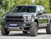 Ford F 150 Raptor 2019 - Bán Ford F-150 Raptor sản xuất 2019, màu đen, xe nhập khẩu nguyên chiếc