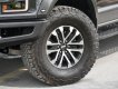 Ford F 150 Raptor 2019 - Bán Ford F-150 Raptor sản xuất 2019, màu đen, xe nhập khẩu nguyên chiếc