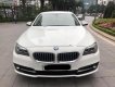 BMW 5 Series 520i 2014 - Bán BMW 520i sản xuất 2014, màu trắng, nhập khẩu  