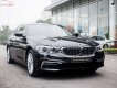 BMW 5 Series 530i Luxury Line 2019 - Bán BMW 530i Luxury Line 2019, màu đen, nhập khẩu